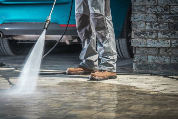 Best Sign and Awning Cleaning  in Albany, MN