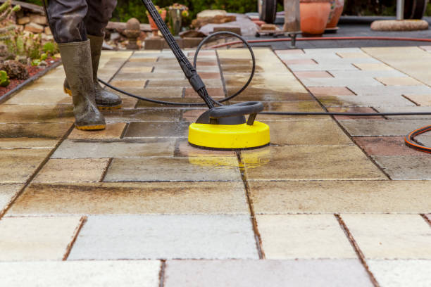 Best Pre-Holiday Cleaning  in Albany, MN